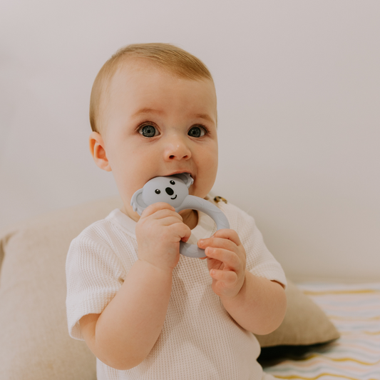 Eucalyptus | Koala Teether